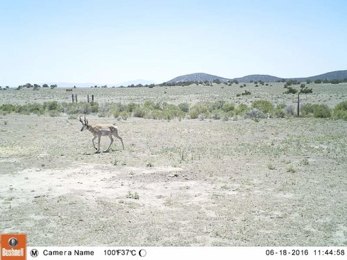 mid june 16 087.jpg mid june 16 087.jpg