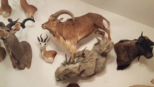 20160623_211805.jpg 20160623_211805.jpg