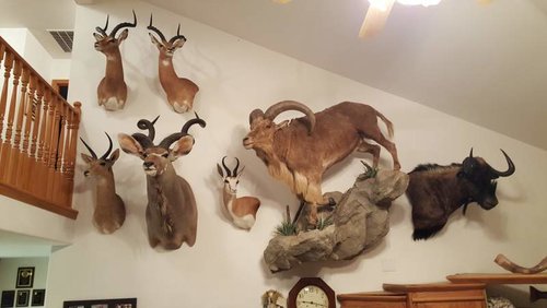 20160623_211631.jpg 20160623_211631.jpg