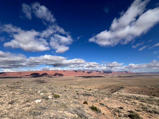 IMG_3111.jpeg IMG_3111.jpeg