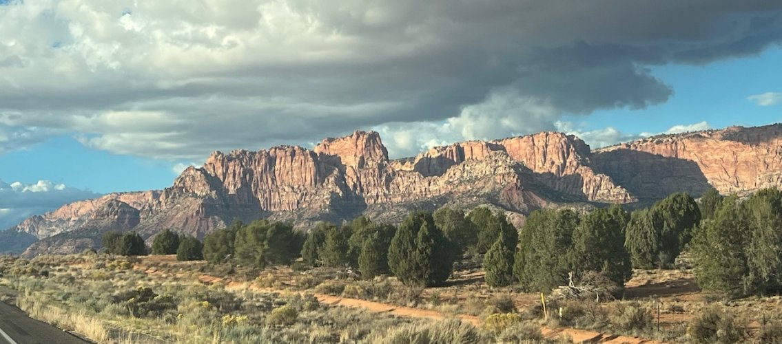 IMG_3117.jpeg IMG_3117.jpeg