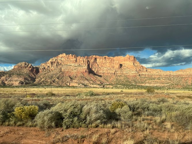 IMG_3121.jpeg IMG_3121.jpeg