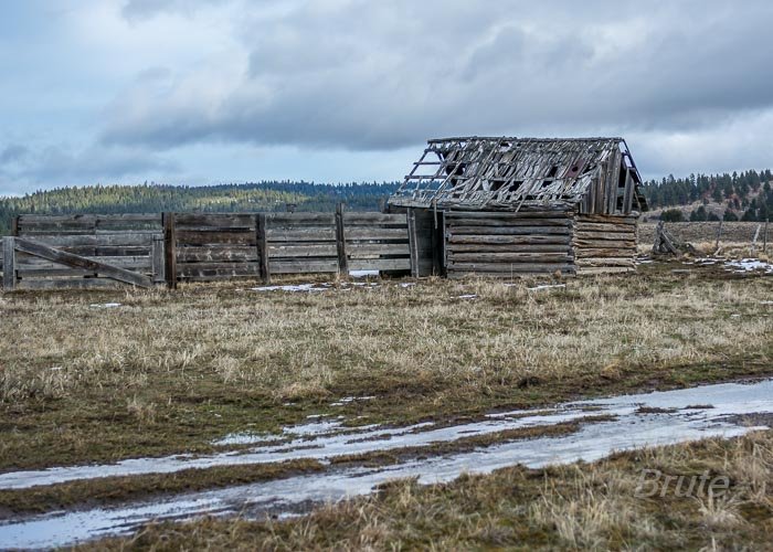 February 2018 a-8909.jpg February 2018 a-8909.jpg