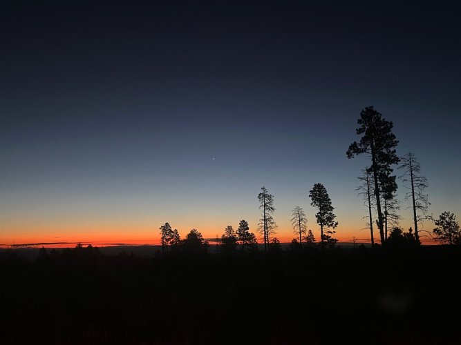 IMG_3133.jpeg IMG_3133.jpeg