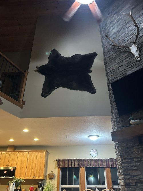 IMG_4186.jpeg IMG_4186.jpeg