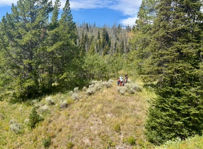 1761367497658.jpeg 1761367497658.jpeg