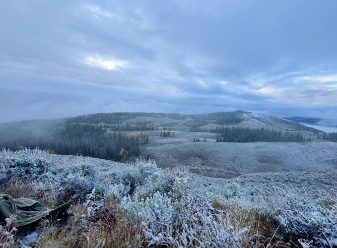 1761368068401.jpeg 1761368068401.jpeg