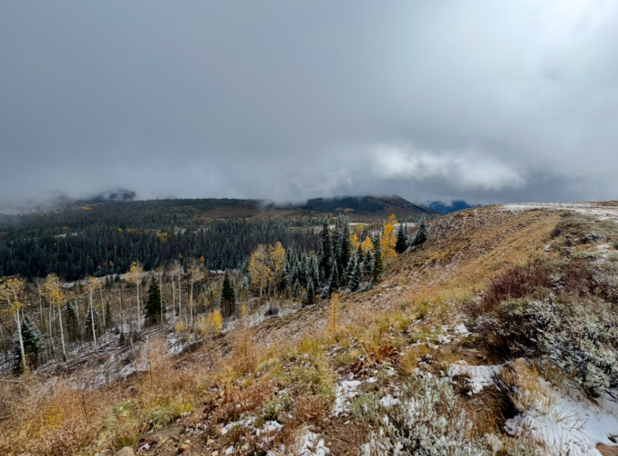 1761368327280.png 1761368327280.png