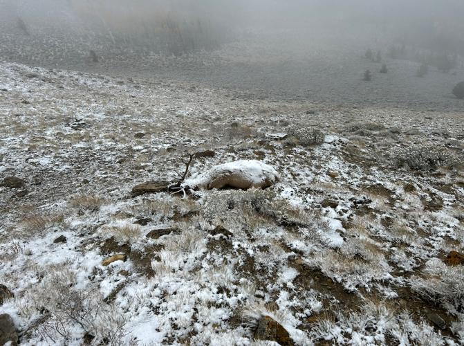 1761368475508.png 1761368475508.png