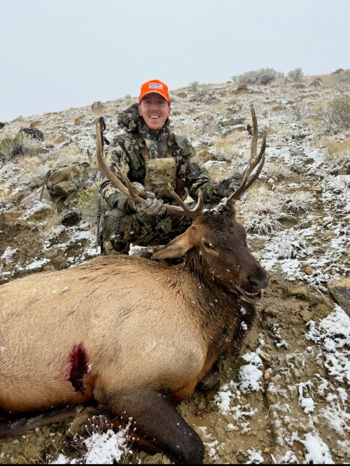 1761368510376.jpeg 1761368510376.jpeg