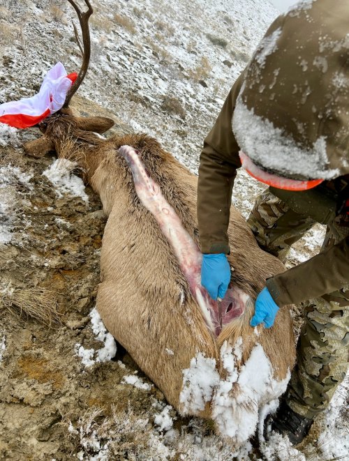 1761368535479.jpeg 1761368535479.jpeg