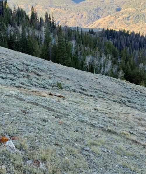 1761369141090.jpeg 1761369141090.jpeg