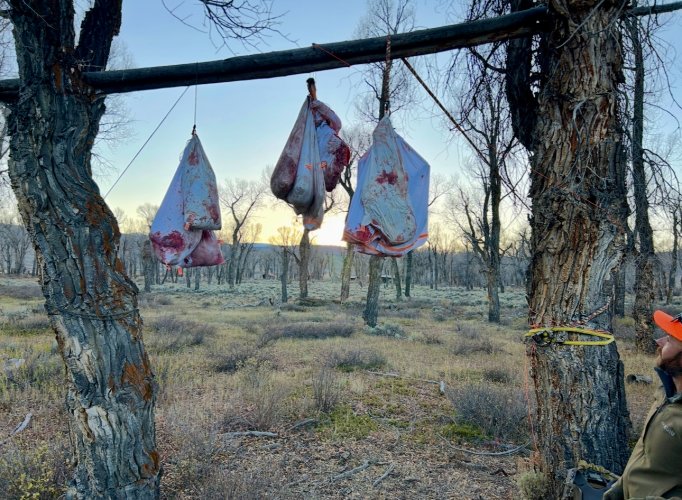 1761369318539.jpeg 1761369318539.jpeg