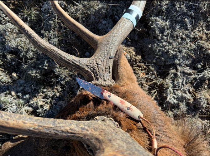 1761369361320.jpeg 1761369361320.jpeg