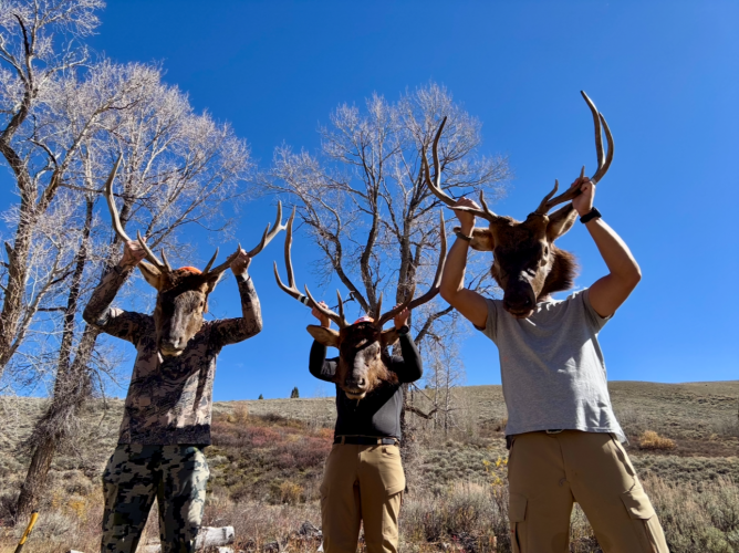 1761369645384.png 1761369645384.png