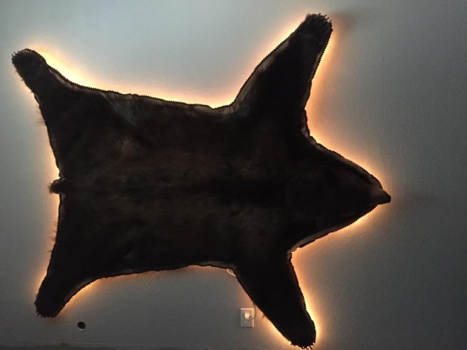 IMG_5665.jpeg IMG_5665.jpeg