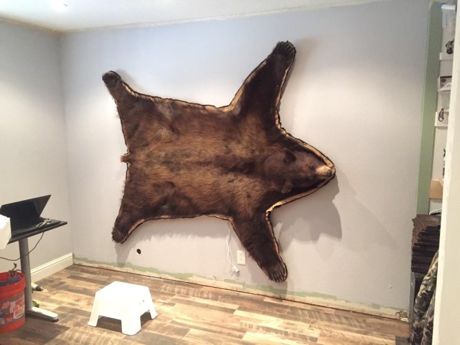 IMG_5664.jpeg IMG_5664.jpeg