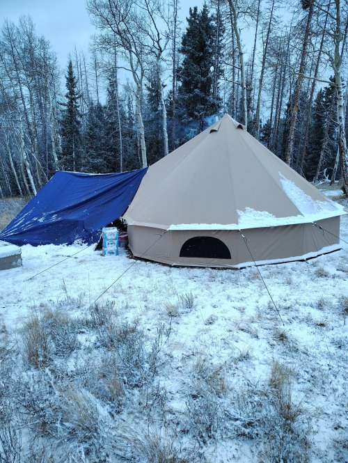 IMG_20251013_081038544.jpg IMG_20251013_081038544.jpg