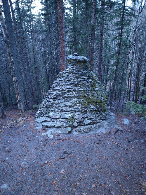 IMG_20251013_182354090.jpg IMG_20251013_182354090.jpg