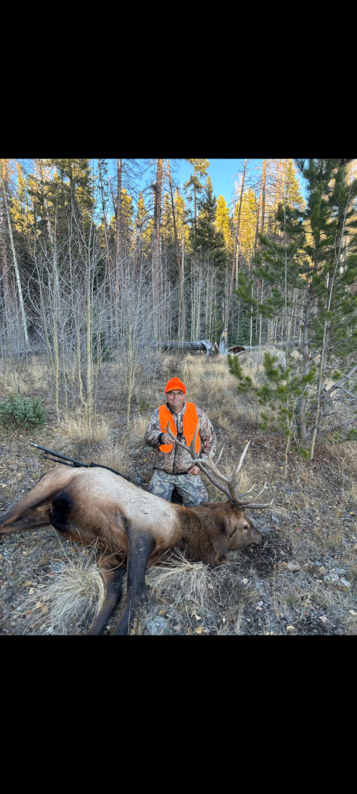 Screenshot_20251020-143600_Messages.png Screenshot_20251020-143600_Messages.png