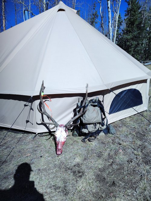 IMG_20251017_114843043.jpg IMG_20251017_114843043.jpg