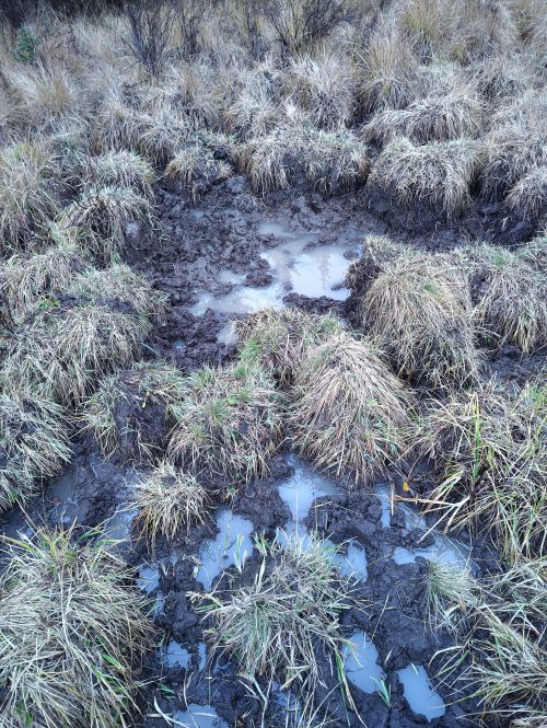 IMG_20251013_172808701.jpg IMG_20251013_172808701.jpg