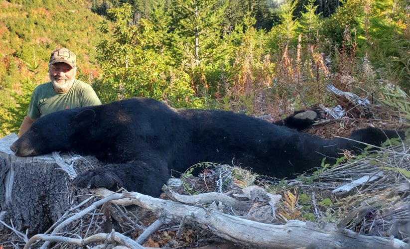 OR Fall Bear 2022 (recropped 2).jpg OR Fall Bear 2022 (recropped 2).jpg
