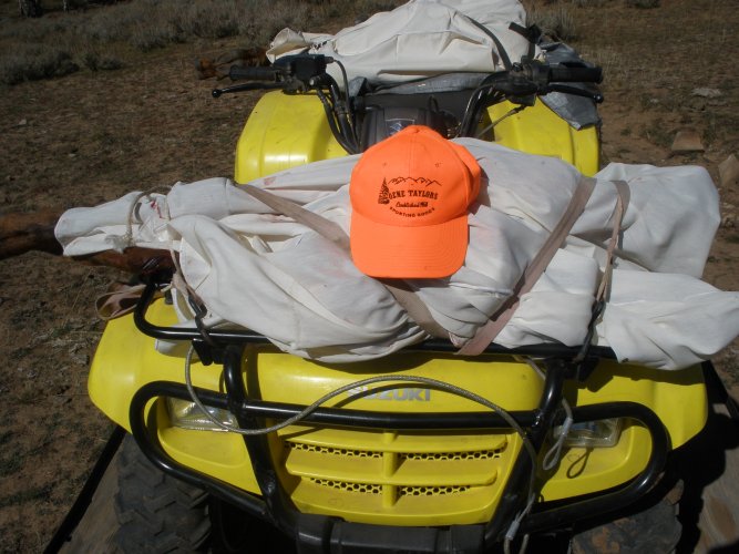 PA150150.JPG PA150150.JPG