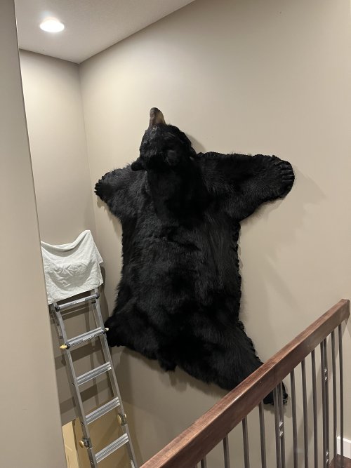 IMG_5725.jpeg IMG_5725.jpeg