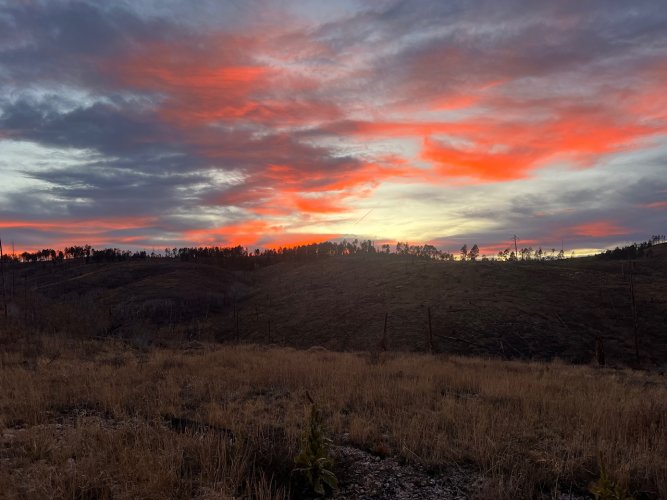 IMG_3173.jpeg IMG_3173.jpeg