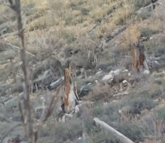 IMG_3180.jpeg IMG_3180.jpeg