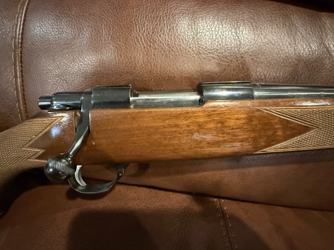 IMG_0971.jpeg IMG_0971.jpeg