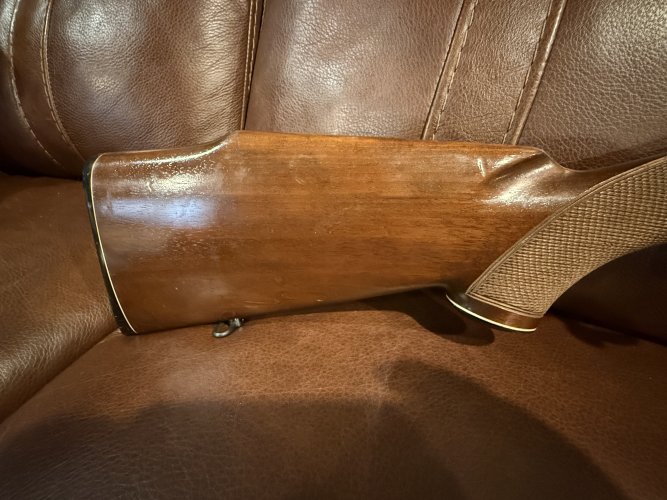 IMG_0969.jpeg IMG_0969.jpeg