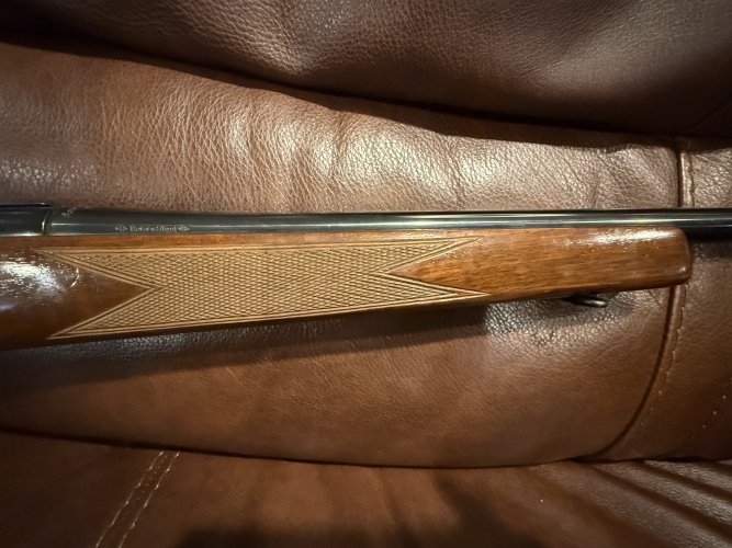 IMG_0972.jpeg IMG_0972.jpeg