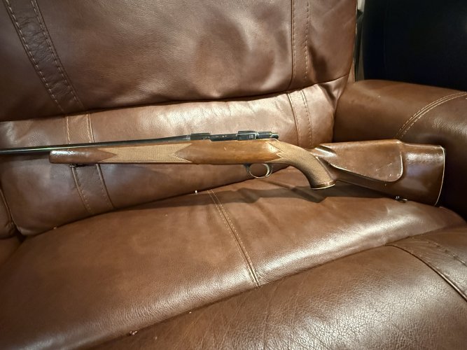 IMG_0973.jpeg IMG_0973.jpeg