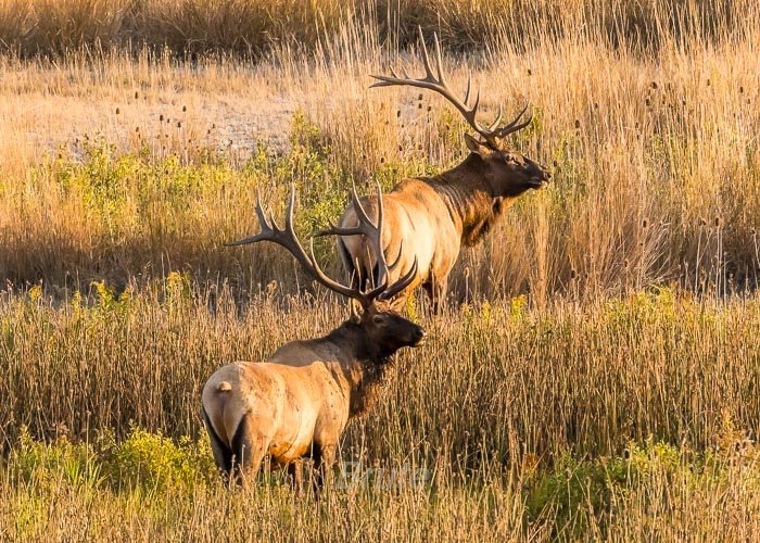 September 2025 a-5462.jpg