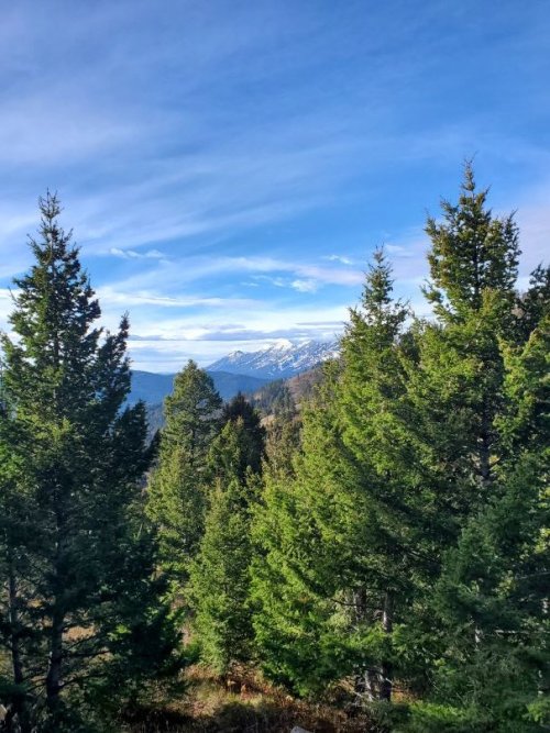 October 25, 2025.jpg