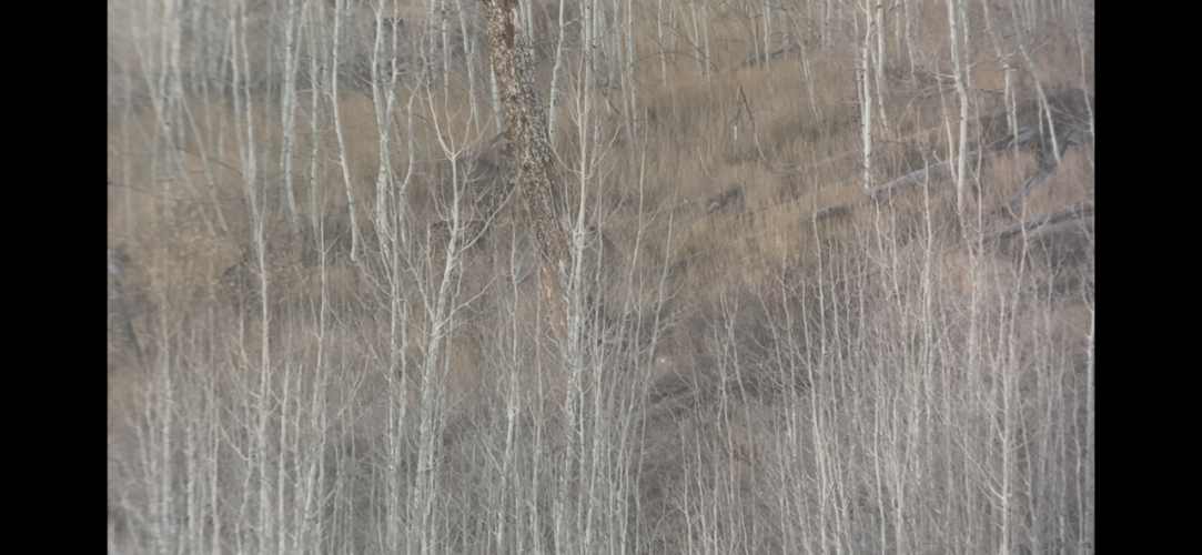 IMG_3204.png IMG_3204.png