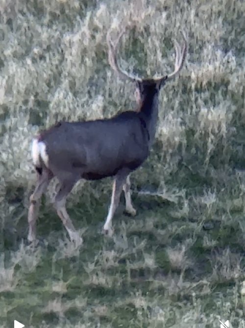 IMG_2934.jpeg