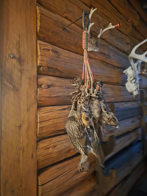 20251028_182805.jpg 20251028_182805.jpg