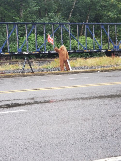 Big Foot Susquatch.jpg