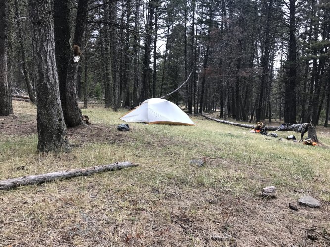 IMG_4973.jpeg IMG_4973.jpeg