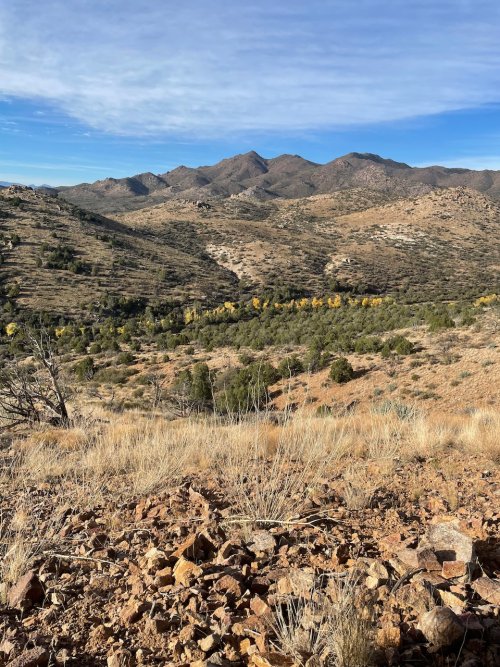 IMG_4504.jpeg IMG_4504.jpeg