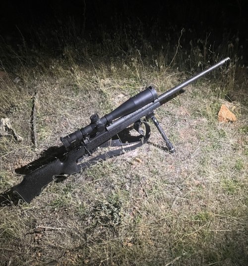 IMG_4555.jpeg IMG_4555.jpeg