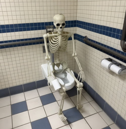 skeleton.png