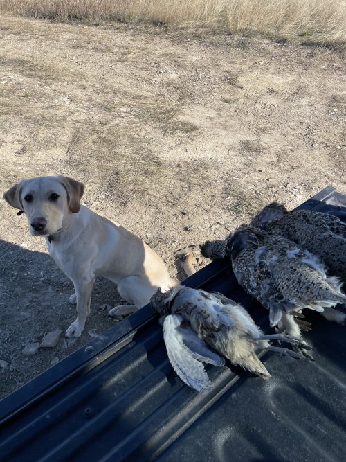 IMG_6194.jpeg IMG_6194.jpeg