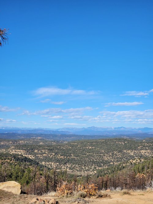 20251031_152231.jpg 20251031_152231.jpg