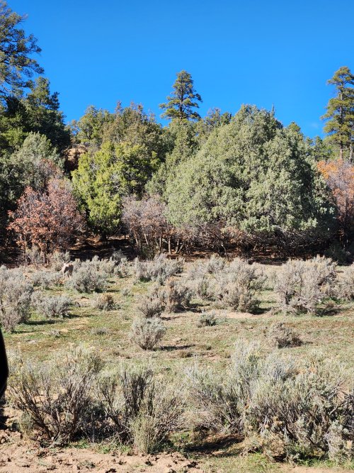 20251031_150822.jpg 20251031_150822.jpg