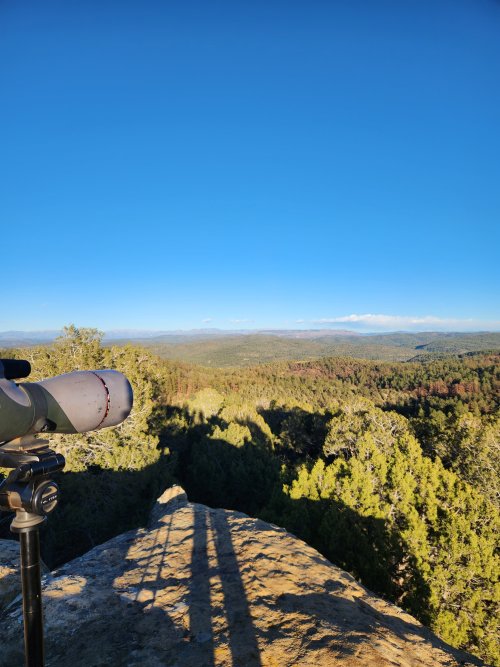 20251031_171955.jpg 20251031_171955.jpg