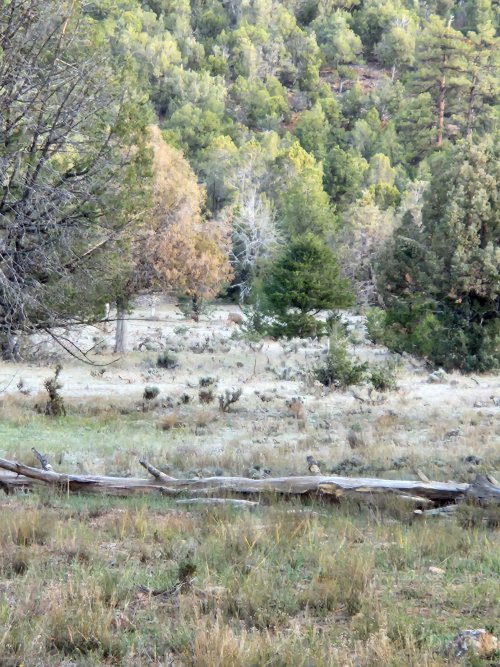 20251101_075457.jpg 20251101_075457.jpg